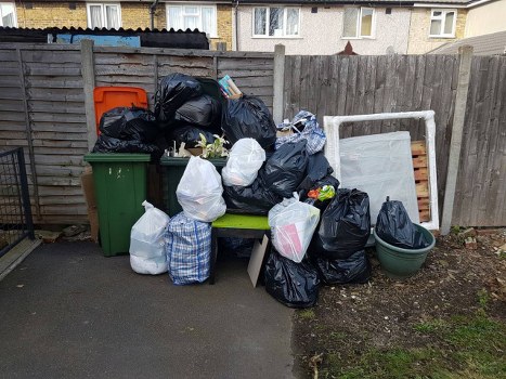 Lush garden in Woolwich post-clearance